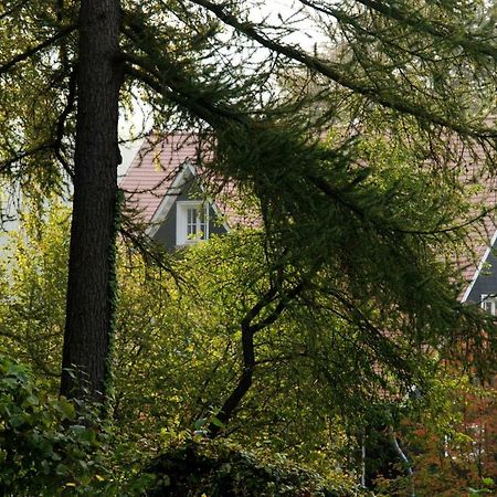 Panoramablick Appartement - Traumhaft! Ober-Hambach Zewnętrze zdjęcie