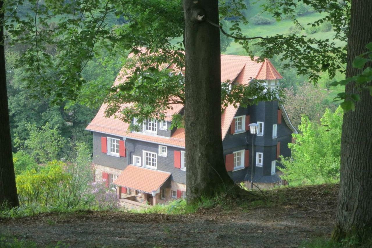 Panoramablick Appartement - Traumhaft! Ober-Hambach Zewnętrze zdjęcie
