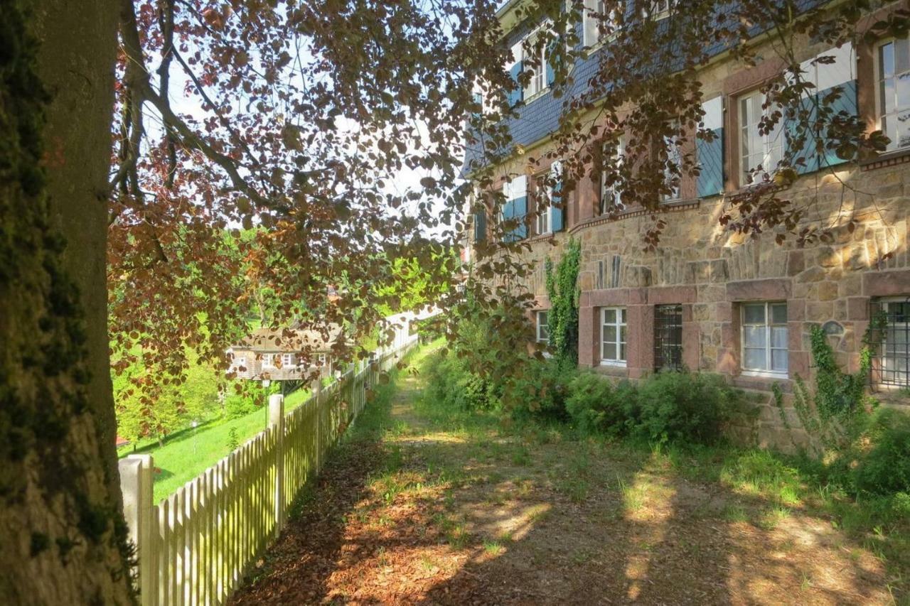 Panoramablick Appartement - Traumhaft! Ober-Hambach Zewnętrze zdjęcie